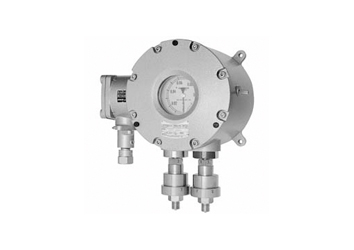 Flameproof Type Differential Pressure Switch 